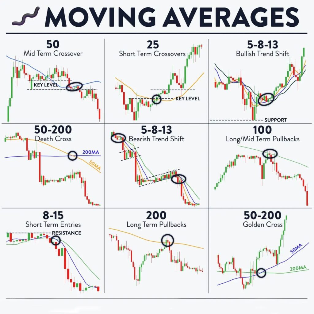 Trading Indicators: A Complete Guide for Beginners